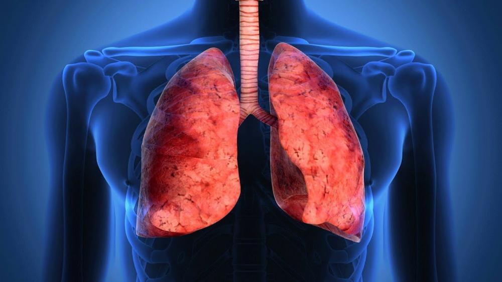 Infermieri Dal Lattice Agli Antibiotici Al Rischio Di Malattie 